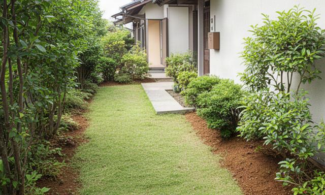 草刈りと清掃を終え、建物脇の通路が見通せるようになった庭