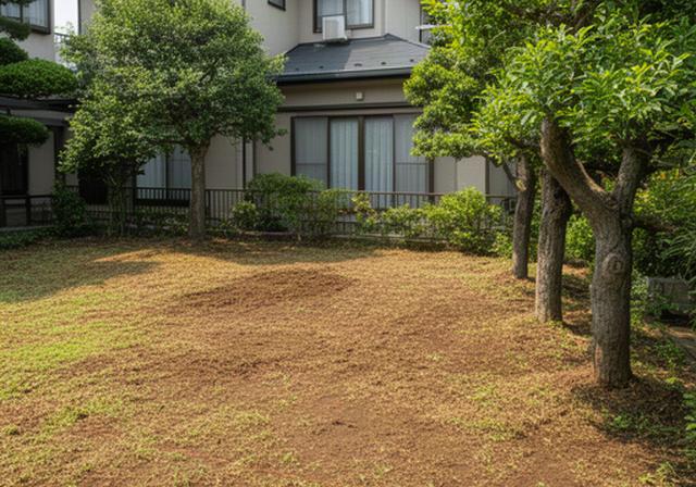草刈りと防草対策で地面が見えるように整えた空き家の庭、端に庭木が残る様子