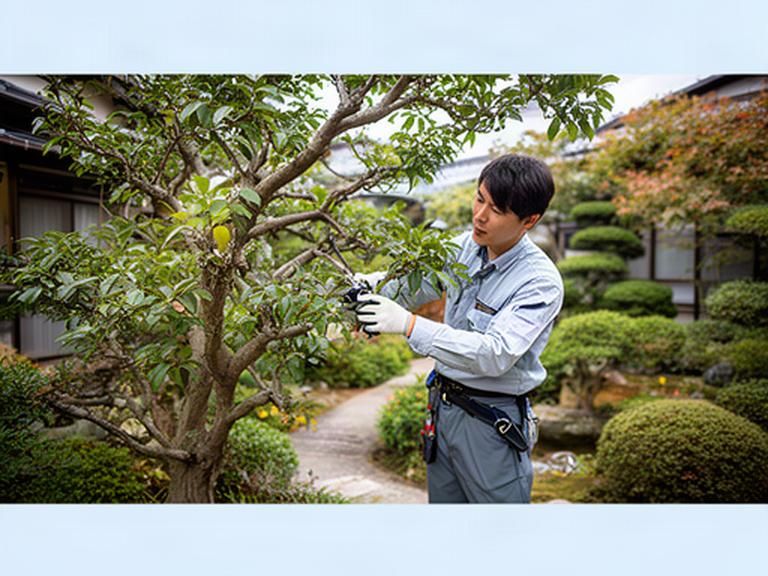 群馬県伊勢崎市の住宅の庭で、職人が植木の枝ぶりを確かめながら手入れを進める様子