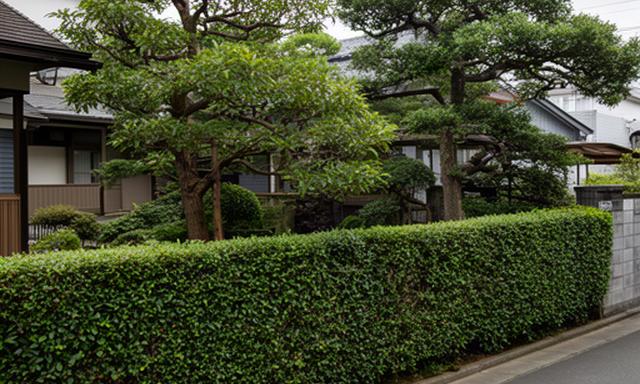 住宅道路側の視線をやわらげる生垣と、既存の庭木を残して整えた庭のプラン例