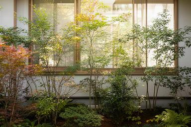 窓前に高さの異なる植栽を配置し、光と視線に配慮した庭の施工後イメージ